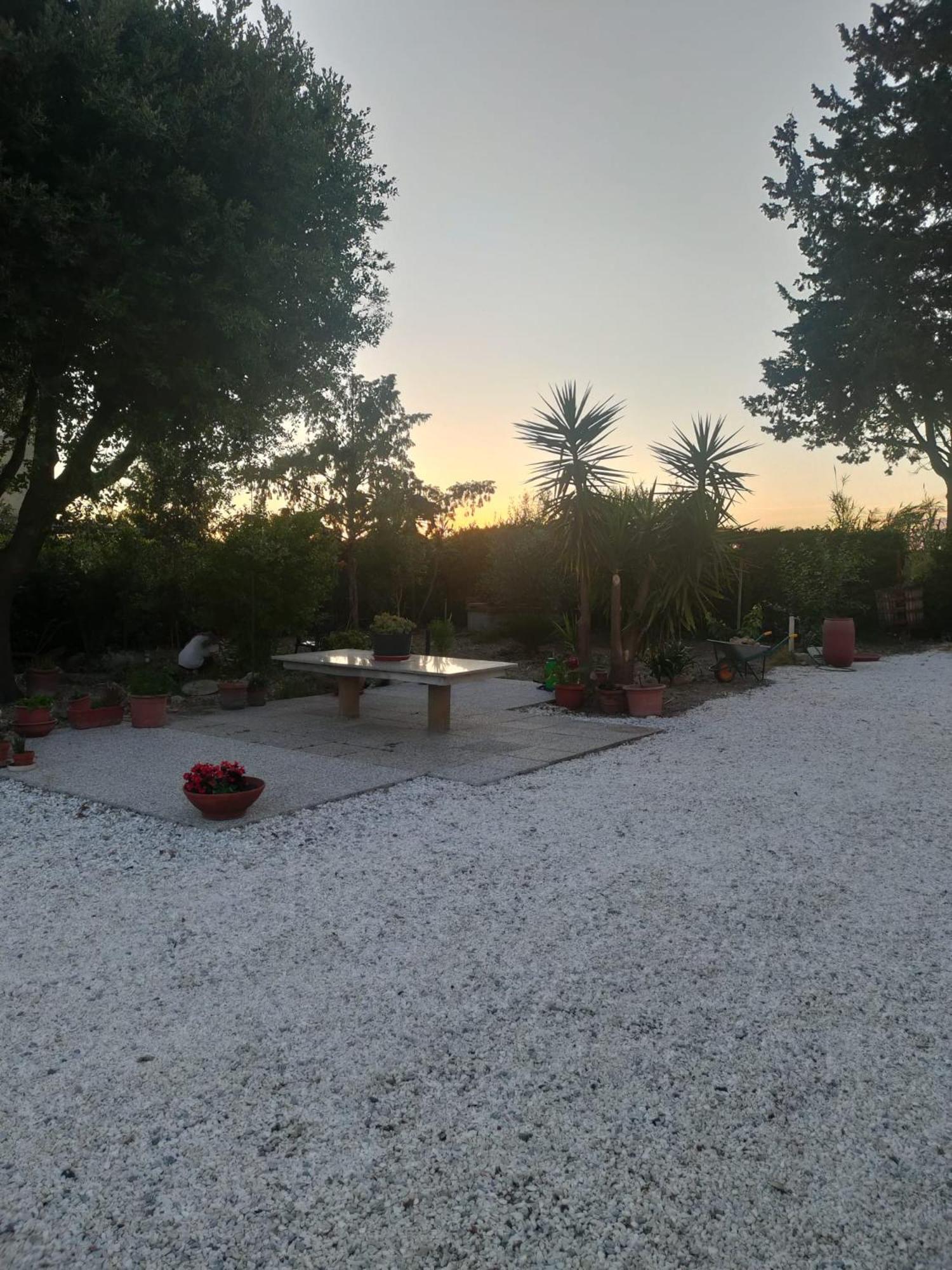 Il Leccio Agriturismo Fiorino Exterior foto